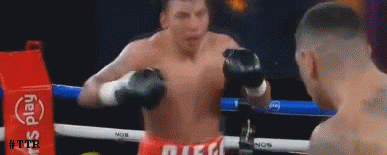 papeschi4534g534.gif