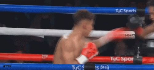 quirogatko4534f34443.gif
