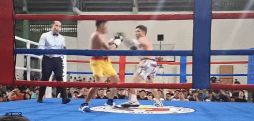 bejadatko453rfe24.gif