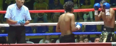 cevedotko453fdwd3.gif