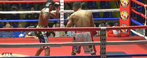 ezgif-4-86484dcd1f.gif
