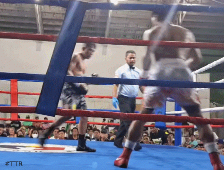 handoigtko35r23wrfr2r4.gif
