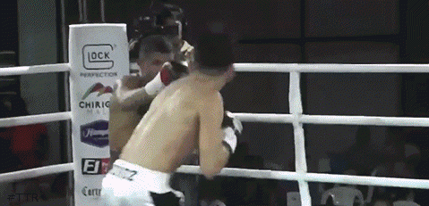 munoztko453gfre34.gif