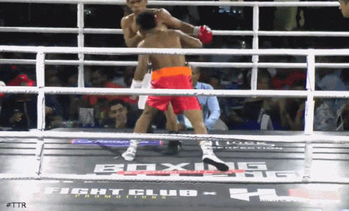 quinterotktfo42534f34.gif