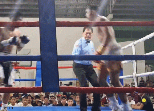 tenorio345tgret.gif