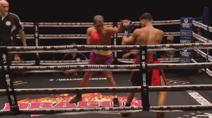 dayektfo54egfr345ger.gif