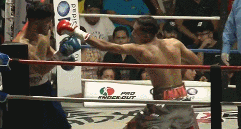 amayatko345refg3.gif