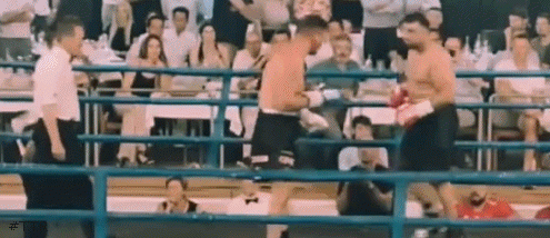 cobrasd45ref53t34ds.gif