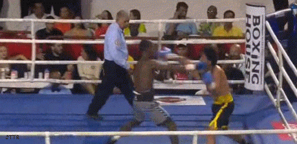 deimartko4353wedfs3.gif