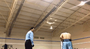 jcsancheztko345dfwf34.gif