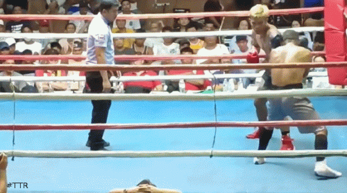 jinoko34rqwdfq23.gif