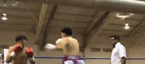 omartko34wdfs34.gif