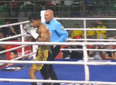 rojasko45wdf45.gif