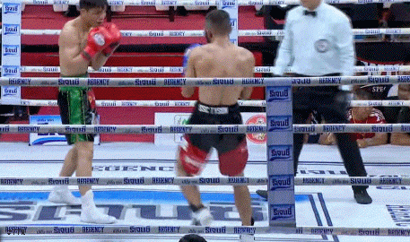 petchko453efd3f4f.gif