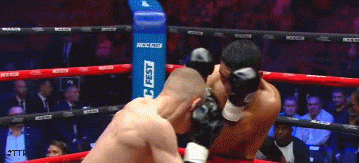 chirkobrt45vr345.gif