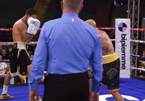 picardi432rfed3f4.gif