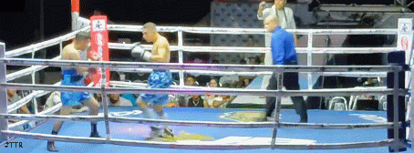 raul1324refd234.gif