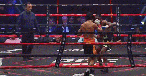 tukovko45ref35.gif