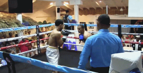 aexositko544g445.gif