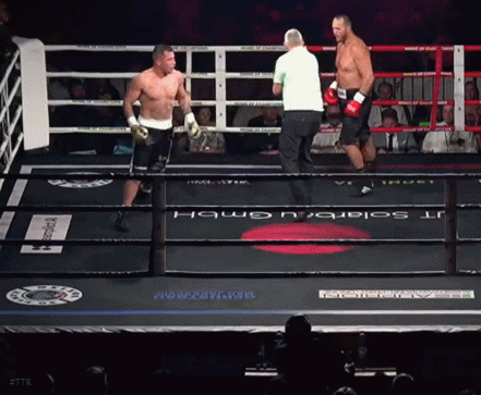 hysatko345edwfs345.gif