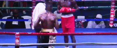 okineko342rr342.gif