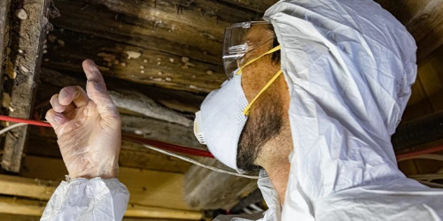 Mold-Inspection-Freehold-NJ.jpg