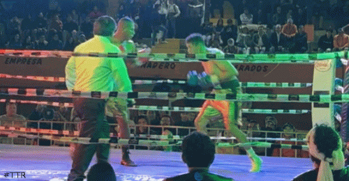 solistko45ef3.gif