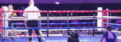 uktko324edrf234.gif