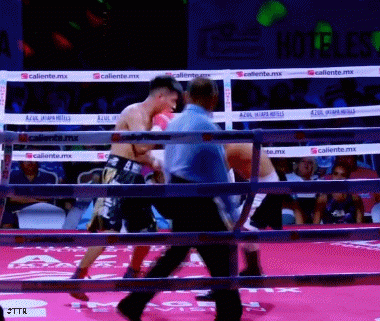 barrera345g65.gif