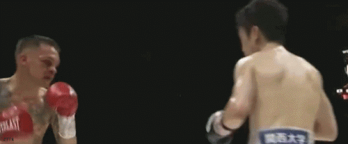 kenshiterdg3245vfe.gif