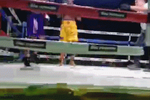 lindog5egre4345r.gif