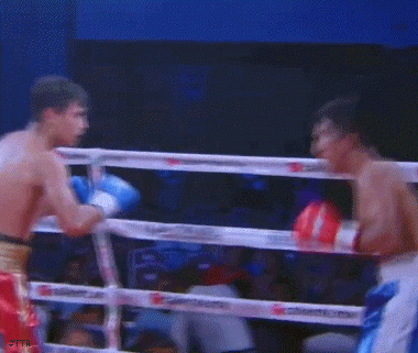 villaefw434f354.gif