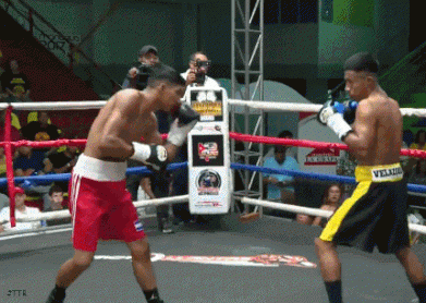 ezgif-5-567fa8ba99.gif