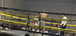 guti4tr3w4fg345gv.gif