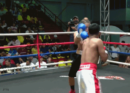 meijia435fw334534.gif