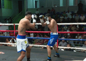 montes43rfd43.gif