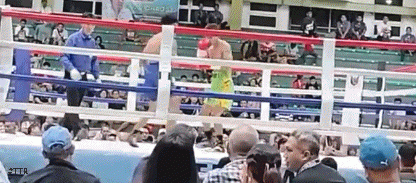 noynay324d234.gif
