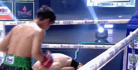 4thrkot3453fr354.gif