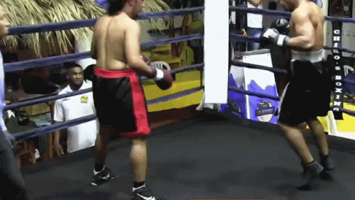adoni45fe343.gif