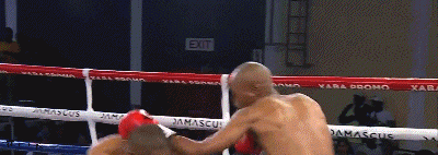 chaukewinhls32ef343.gif