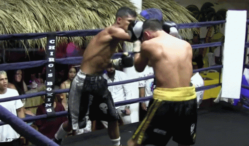 edoardoktfo45rvf345.gif