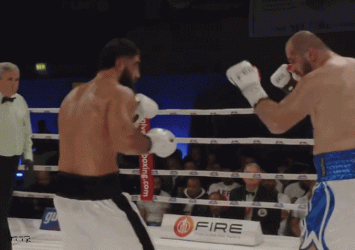 lazaradisdrfr3ef345f4.gif