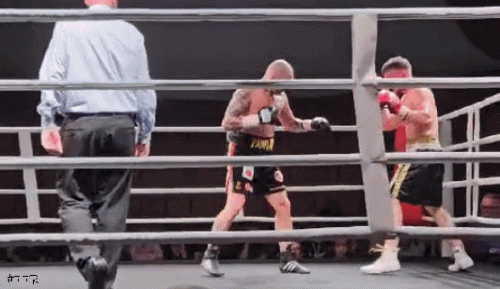pawlaktko4rfv345g.gif