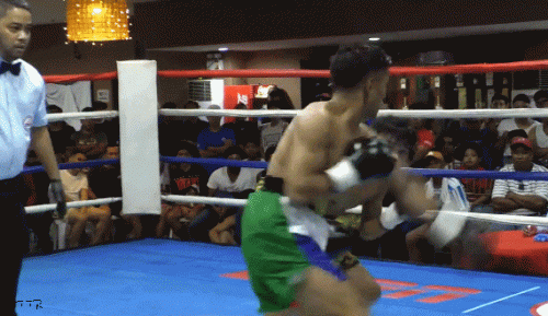solivares543tgfr345t45.gif