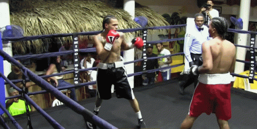wintsontko4t3gf4554.gif
