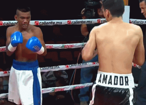 amadorko34wefd34f34.gif