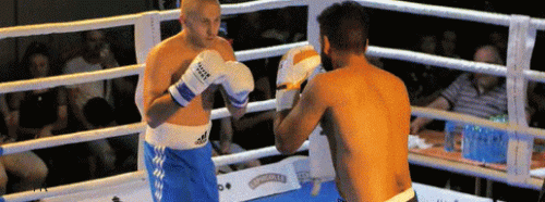 horvathtko43f343.gif