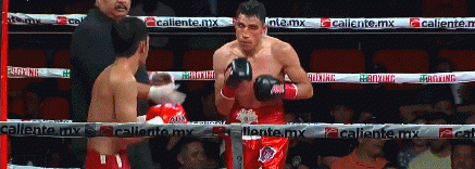 maciasertfefv353fr334.gif