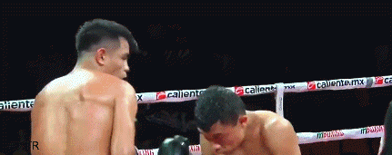 palacios42rfr334f34.gif