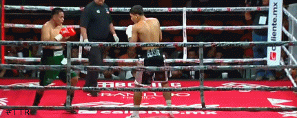 urenatko345rfewwrewf34.gif